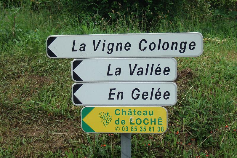 2010-06- (5).JPG - ... und bleiben vorerst noch  im Weinbaugebiet des Mâconnais